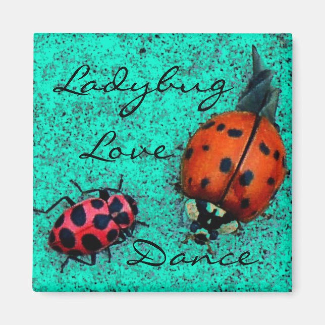 LADYBUG KÄRLEK DANCE MAGNET (Framsidan)