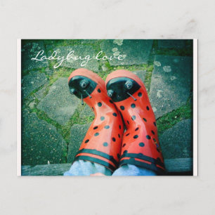 Ladybug kärlek vykort