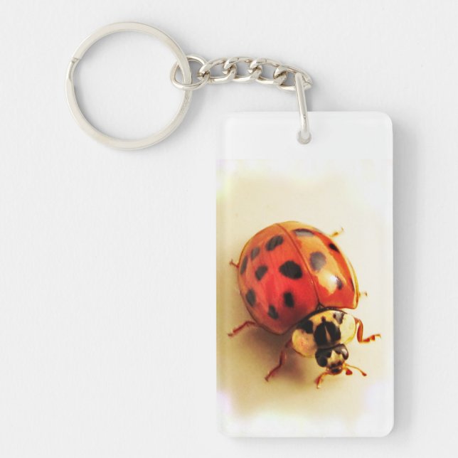 Ladybug Keychain (Framsidan)