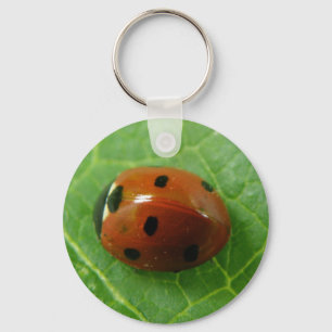 Ladybug Keychain Nyckelring