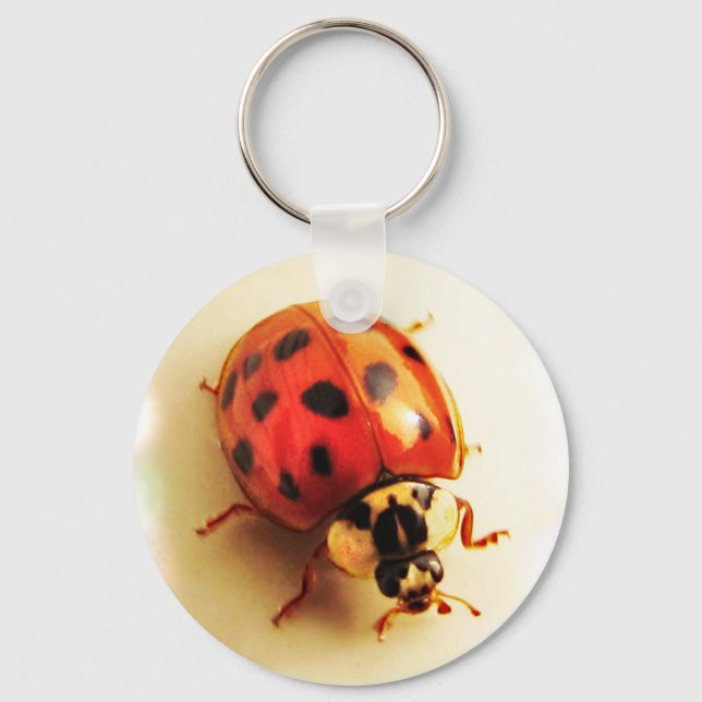 Ladybug Keychain Nyckelring (Framsida)
