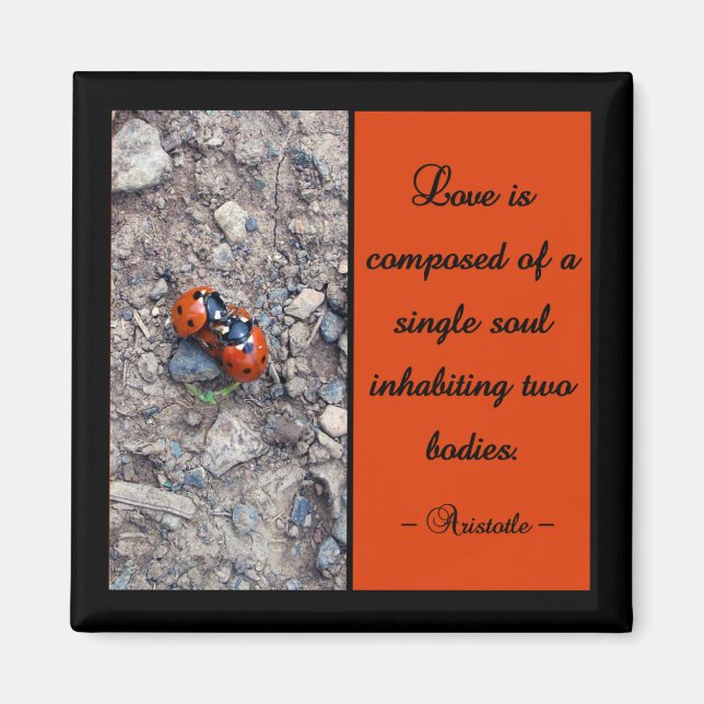 Ladybug Kisses Magnet (Framsidan)
