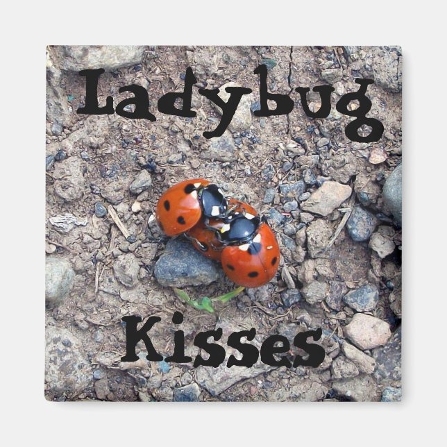 Ladybug Kisses Magnet (Framsidan)