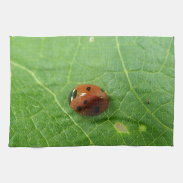 Ladybug Kitchen Towel Kökshandduk (Horisontell)