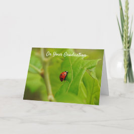 Ladybug klättring till lyckat Studenten-kort Kort