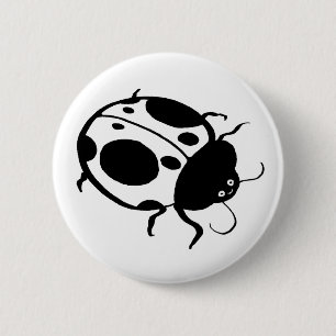 Ladybug Knapp