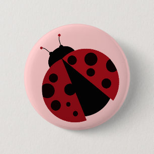 ladybug knapp