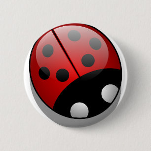 Ladybug Knapp