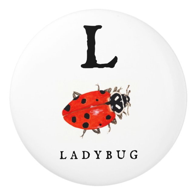 Ladybug Knopp (Framsidan)