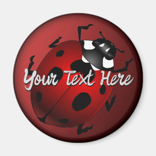 Ladybug Konstmagnet Anpassade Nyckelpigor Kylskåps Magnet
