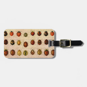 Ladybug Ladybird Beetle Insekt Kryp Bagagebricka