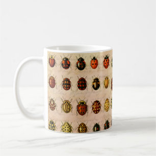 Ladybug Ladybird Beetle Insekt Kryp Kaffemugg