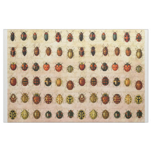 Ladybug Ladybird Beetle Insekt Kryp Tyg