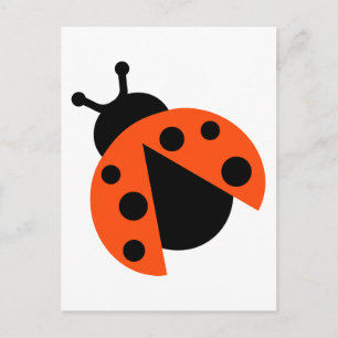Ladybug ladybird vykort