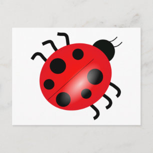 Ladybug - Ladybird Vykort