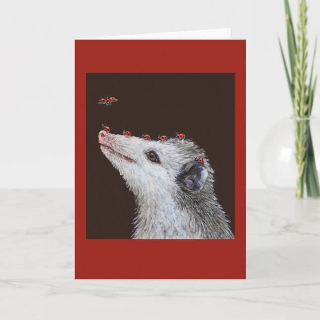 Ladybug Launchpad kort (Framsida)