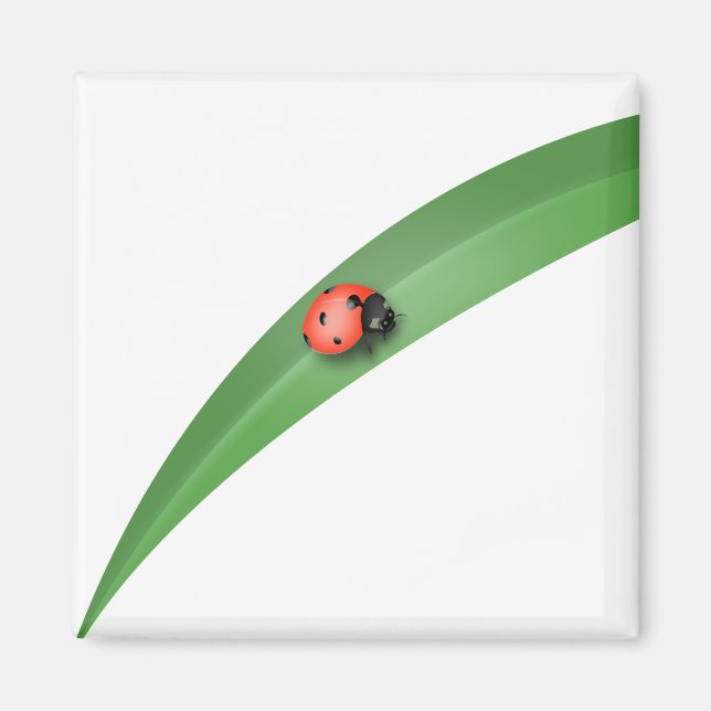 Ladybug Löv Magnet (Framsidan)