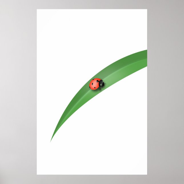 Ladybug Löv Poster (Framsidan)