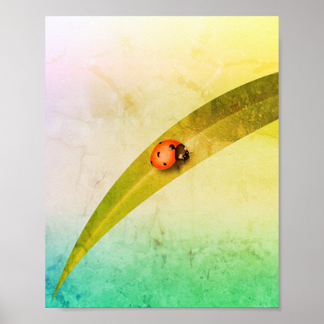 Ladybug Löv Poster (Framsidan)