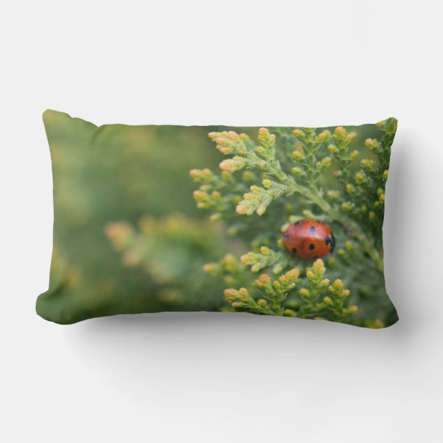 Ladybug Lumbarkudde (Framsida)