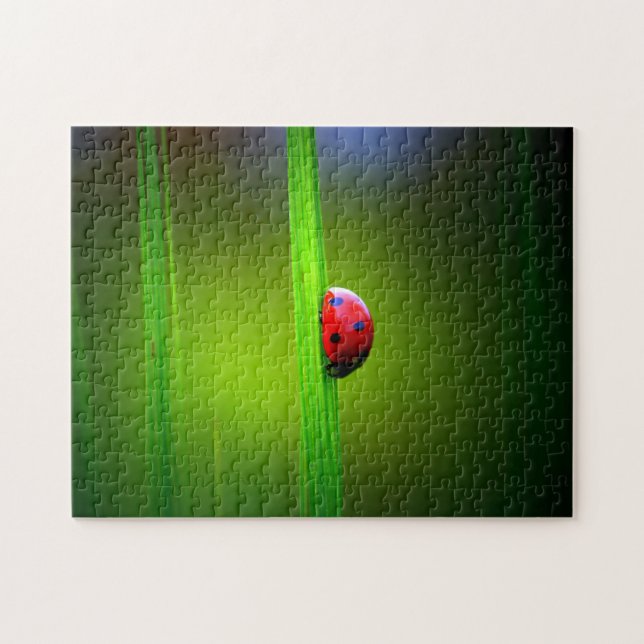 Ladybug Macro Colorful, Jigszawa Puzzle Pussel (Horisontell)