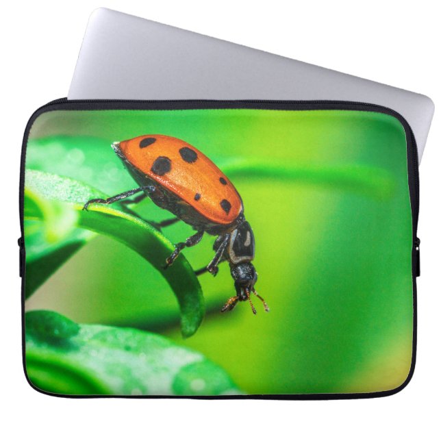 Ladybug Macro Laptop Sleeve | Nature Tech Pouch (Framsidan)