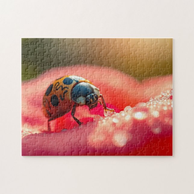 Ladybug macro on a flower pussel (Horisontell)