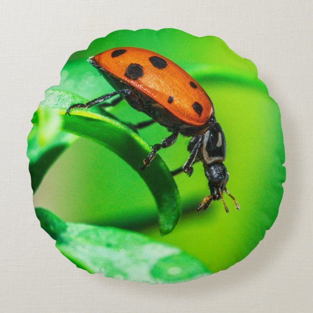 Ladybug Macro Round Throw Pillow Nature Decor Rund Kudde (Framsidan)