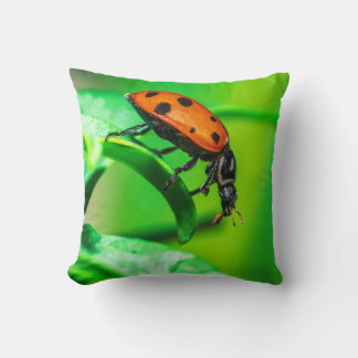 Ladybug Macro Throw Pillow Nature-Inspired Decor Kudde