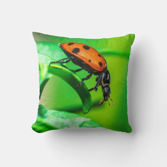 Ladybug Macro Throw Pillow Nature-Inspired Decor Kudde (Framsida)