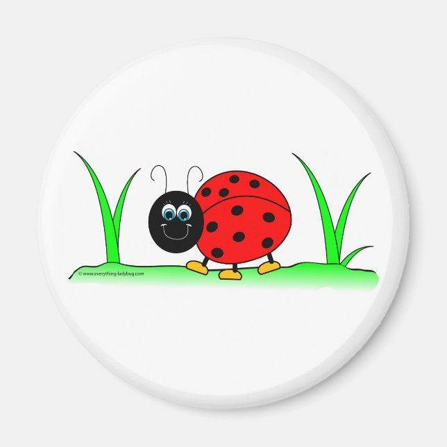 Ladybug Magnet (Framsidan)