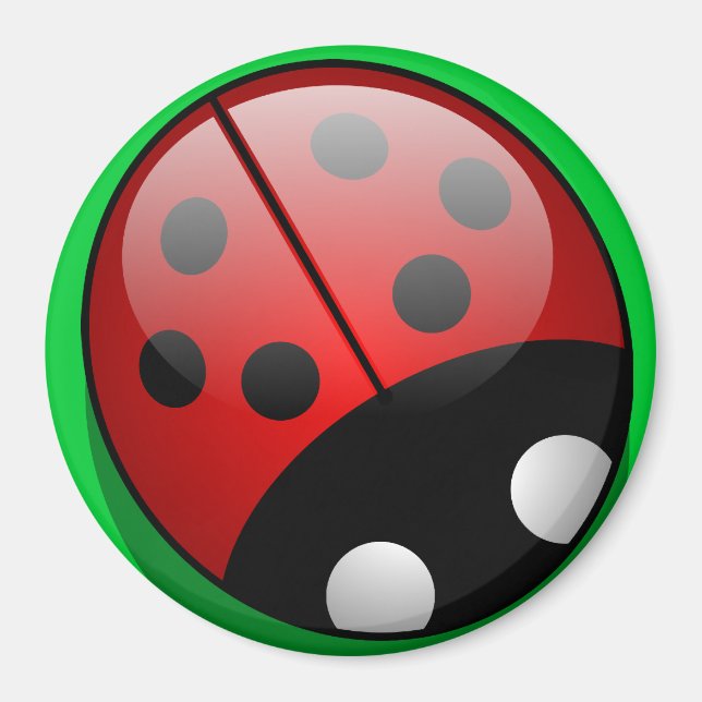 Ladybug Magnet (Framsidan)