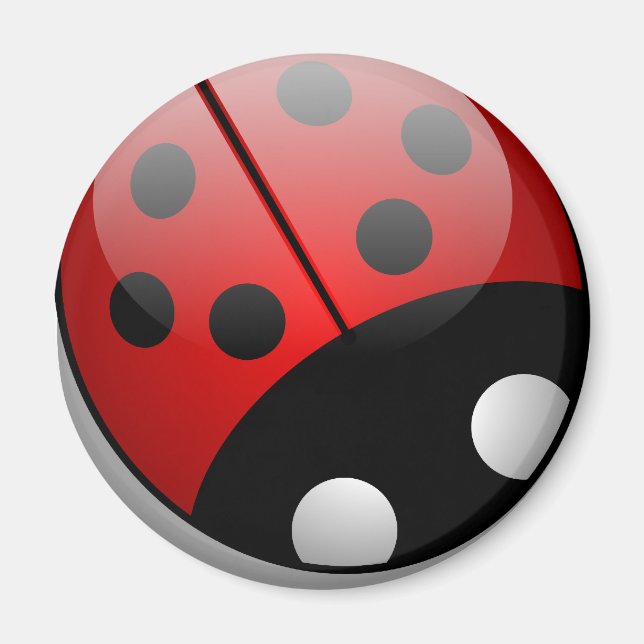Ladybug Magnet (Framsidan)