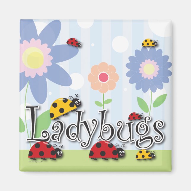 Ladybug Magnet (Framsidan)