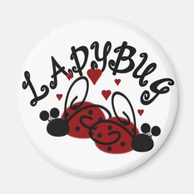Ladybug Magnet (Framsidan)