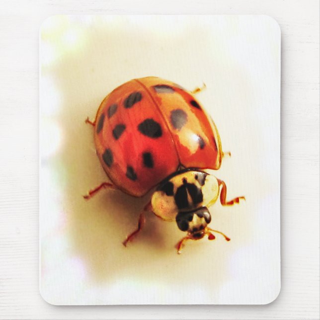 Ladybug Mousepad Musmatta (Framsidan)