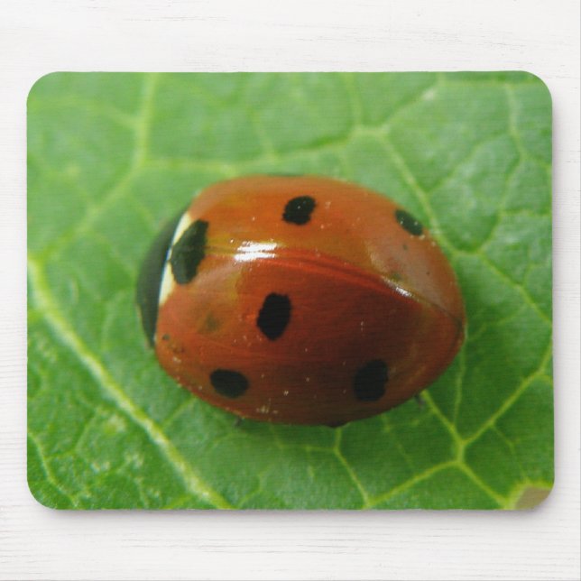 Ladybug Mousepad Musmatta (Framsidan)