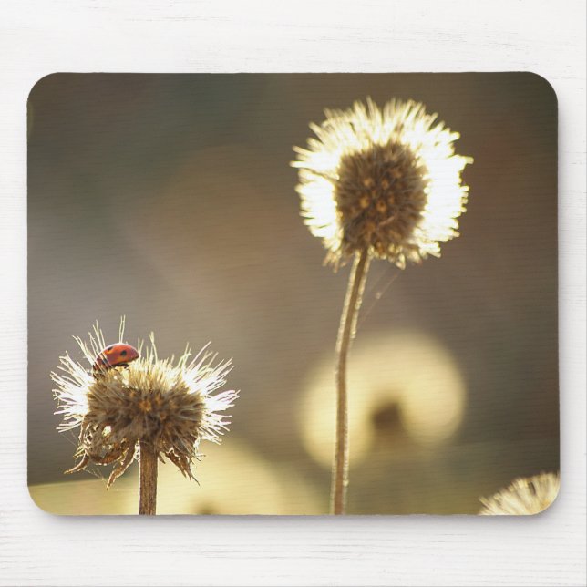 Ladybug Mousepad Musmatta (Framsidan)