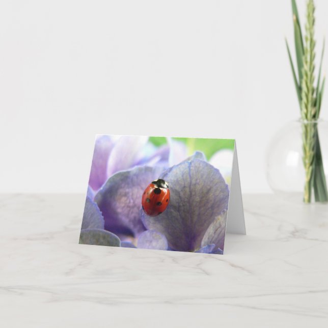 LadyBug Notecard Kort (Framsida)