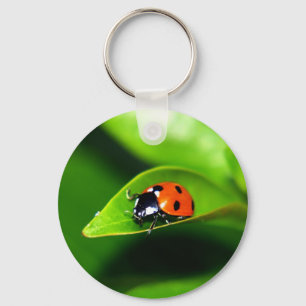 Ladybug Nyckelring