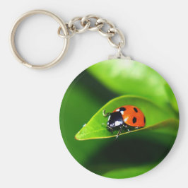 Ladybug Nyckelring