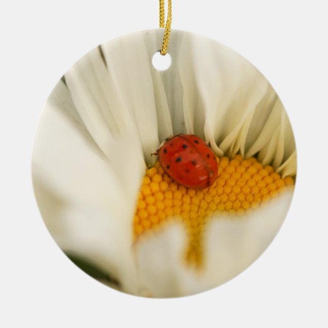 Ladybug och Daisy Ornament (Framsidan)