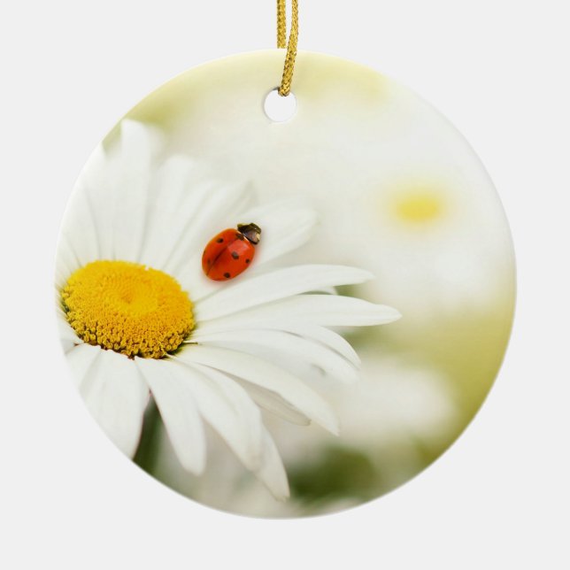 Ladybug och en Daisy Julgransprydnad Keramik (Framsidan)