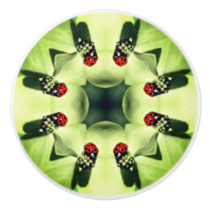 Ladybug on Dogwood Abstrakt Nature Art Art Knopp