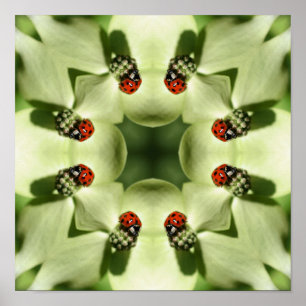 Ladybug on Dogwood Abstrakt Nature Spegel Art Poster
