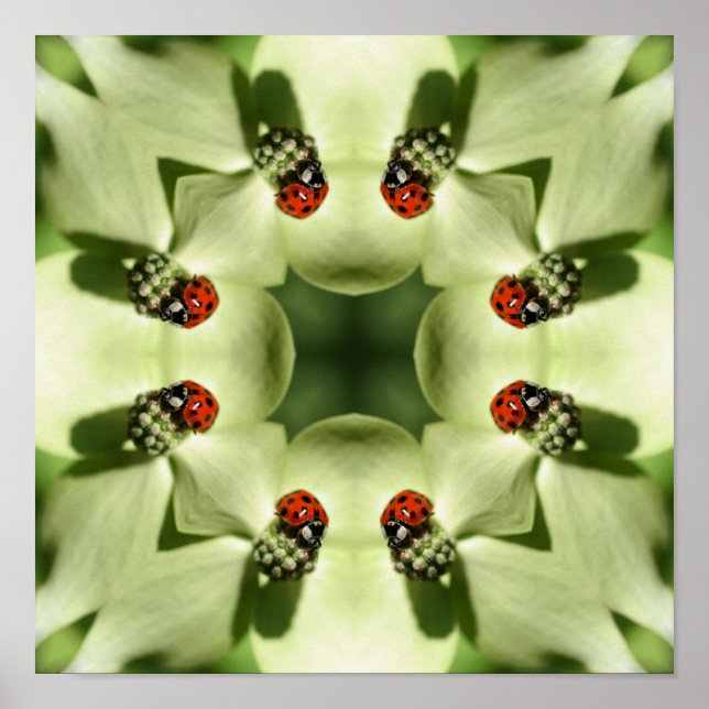 Ladybug on Dogwood Abstrakt Nature Spegel Art Poster (Framsidan)