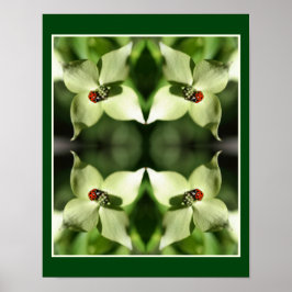 Ladybug on White Dogwood Flower Nature Abstrakt Poster
