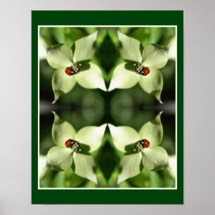 Ladybug on White Dogwood Flower Nature Abstrakt Poster