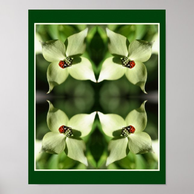 Ladybug on White Dogwood Flower Nature Abstrakt Poster (Framsidan)
