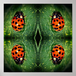 Ladybug på Abstrakten Löv Close Up Poster